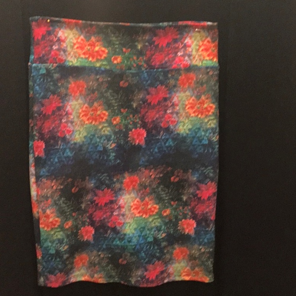 Lularoe stretch skirt or tube dress